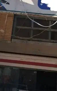 پت شاپ و پرنده سرای هامون پت
