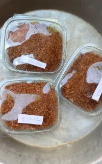 سبزی خام وپیاز