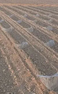 دسته کارگرمرد