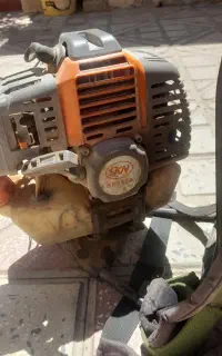 علف زن اس کا ان