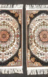 پادری تمیز