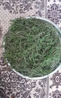 جاتنه تازه
