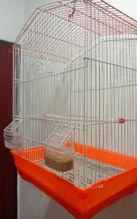 قفس پرنده