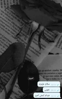 جویای کار هستم