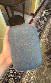 Nest audio