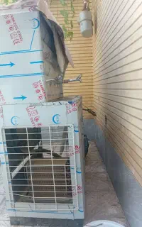 آبسردکن چهارشیر استیل درجه یک