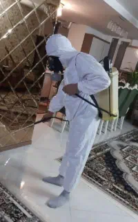 سم پاشی ساس سمپاشی سوسک حشرات ۱۰۰٪ تمام نقاط مشهد