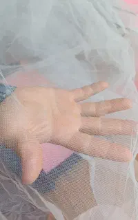 تور محافظ انگور و آفتاب گردان