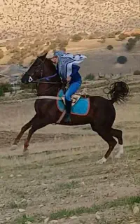 مادیان کره کوهستان