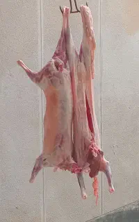 قصاب