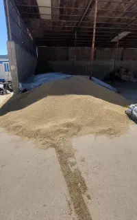 جو روس