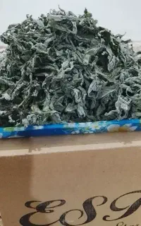 برگ پونه خشک