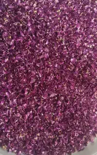 گل محمدی خشک شده درجه یک