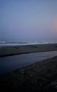 آموزش حرفه ای چهار شنا