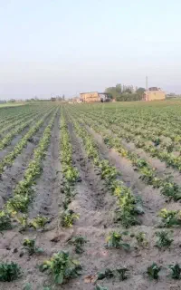 ضایعات الومینیوم
