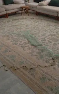 تور پرتابی (سلیه)