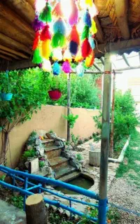 لوبیا چیتی