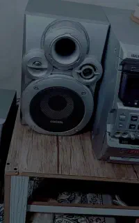 ضبط