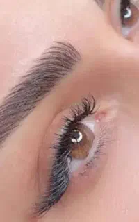 مدل برای میکروابرو،شیدلب رایگان