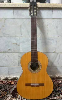 گیتار PARSI مدل P70