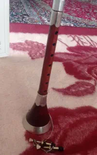 ساز سرنا همراه با دوتا میل