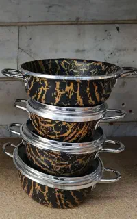سرویس دانشجویی شارنیک ببری