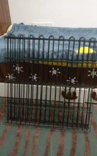 پارک سگ