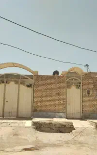 نواب صفوی