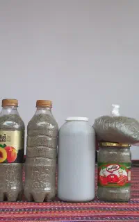 فروش پونه ییلاقی