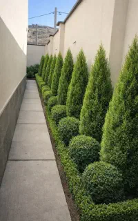 نهالستان لاوسون طراحی و اجرا