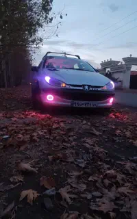 206