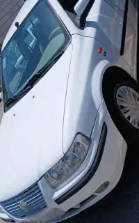 سمندLx تک برگ