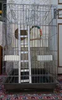 قفس بزرگ