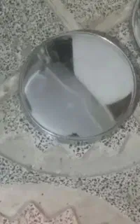 انگشتر نیست