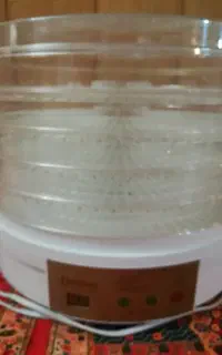 میوه و سبزی خشک کن دسینی