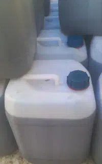 روغن زیتون بدون بو