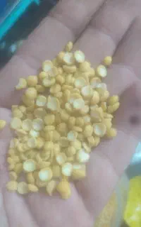 نخود