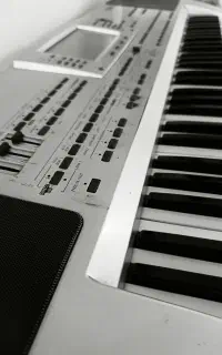 اورگ pa80