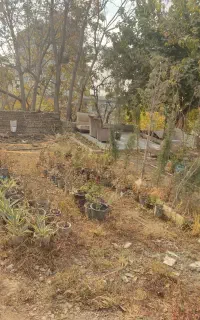 کارگری،جمع آوری نخاله،نظافت خانه