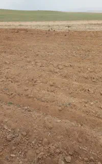 کود۴۶درصد