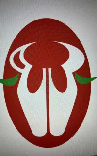 طراحی و ساخت لوگو طبق سلیقه شما با کمترین قیمت