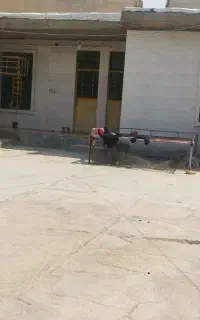 خونه برای فروش