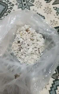 اوشک کوهی