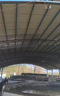 استخدام نیروی کار جهت پرورش ماهیان خاویاری