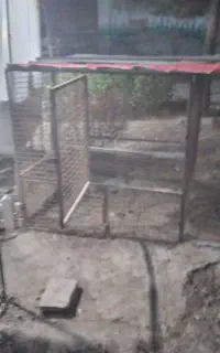 قفس آهنی سگ کفتر کبوتر