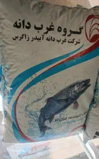 فروش خوراک اکسترود ماهی قزل الا غرب دانه