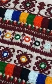 دوچگرشیرازه هستم