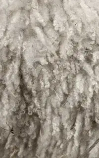 پشم گوسفندی