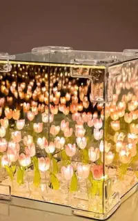 چراغ خواب دشت لاله بی نهایت مکعبی