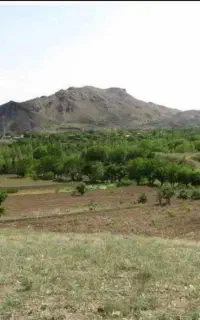 زمین در روستا طبس